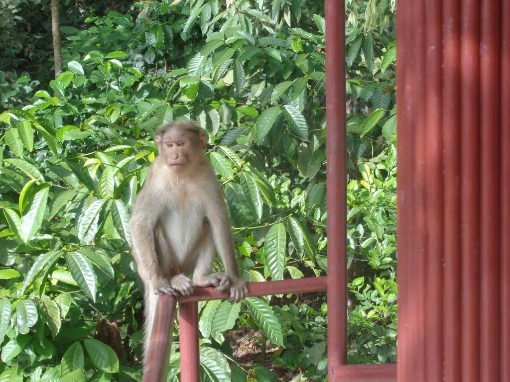 Jungleparadiso Homestay Текади Екстериор снимка