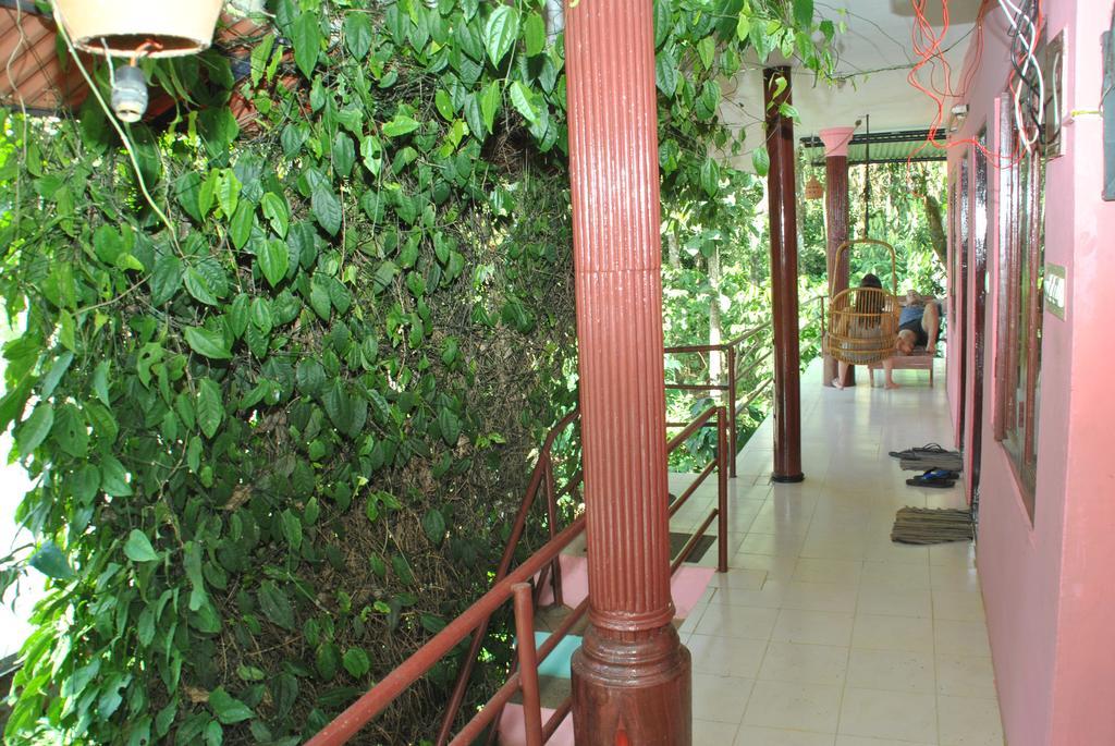 Jungleparadiso Homestay Текади Екстериор снимка