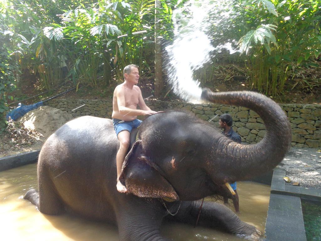 Jungleparadiso Homestay Текади Екстериор снимка