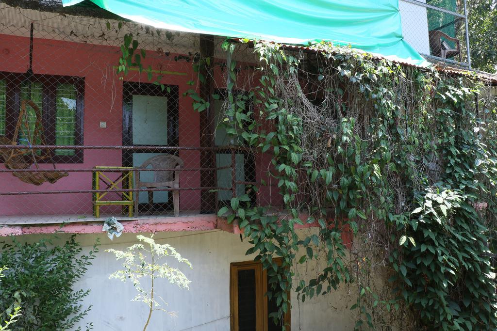 Jungleparadiso Homestay Текади Екстериор снимка