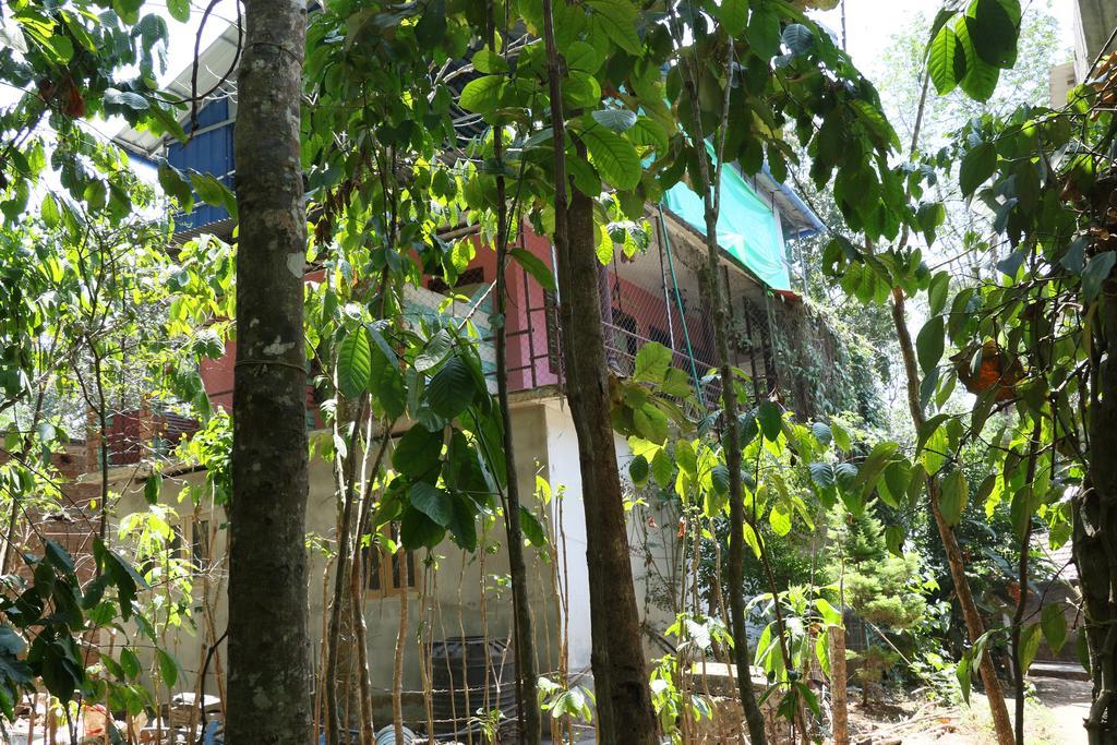 Jungleparadiso Homestay Текади Екстериор снимка