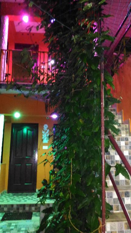 Jungleparadiso Homestay Текади Екстериор снимка