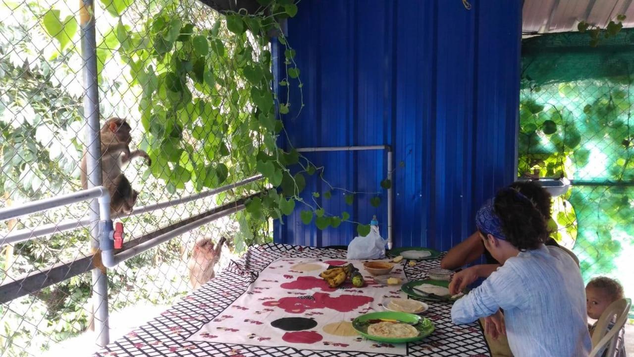 Jungleparadiso Homestay Текади Екстериор снимка